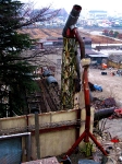 chichibu plant
